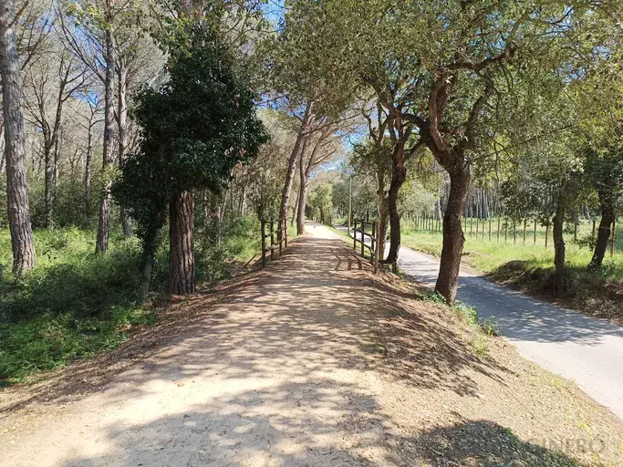 Casa en venda a 2Km de la Platja de Castell