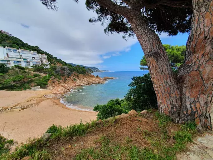 HOUSE for SALE in Cala Salions with sea views.