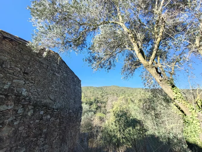 Masía rustique aux &quot;Els Angels&quot;