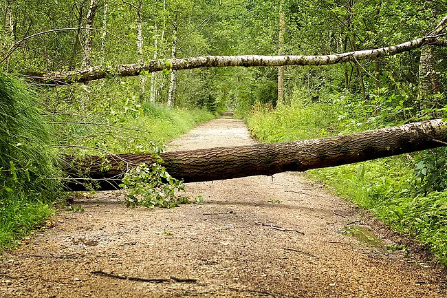 Locataires handicapés